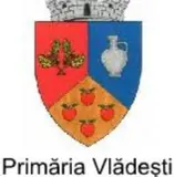 Partener 19